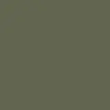 Milatary green